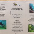 20140517_093440_DSC_9824_tami