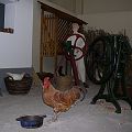 20060417_151513_DSCN4816