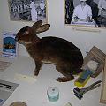 20060417_151711_DSCN4820