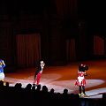 20080321_204446_DSCN3105