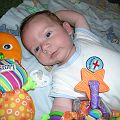 20090630_123353_DSCN6713