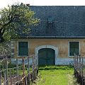 20110423_160411_DSC_6833-1