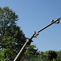 20110911_132919_DSC_5656