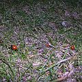 20050407_180849_DSCN4033