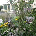 20050731_172511_DSCN7062