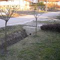 20080224_174336_DSCN2597