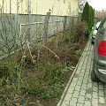 20090208_143059_DSCN3776