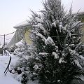 20090218_070847_DSCN3803