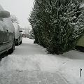 20100130_111353_DSCN1834