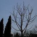 20100321_184512_DSCN2327