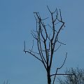 20100321_184529_DSCN2328