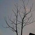 20100321_184630_DSCN2330