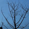 20100321_190410_DSCN2355
