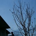 20100321_190452_DSCN2356