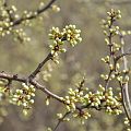 20110403_140459_DSC_6453
