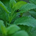 20110525_193816_DSC_7848