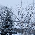 20120205_072750_DSC_7495_tami