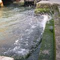 20050530_162231_DSCN5092