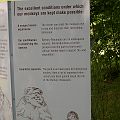 20060626_150434_DSCN7358