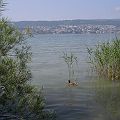 20060630_110142_DSCN7926