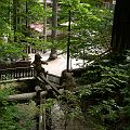 20070611_092115_DSCN6022