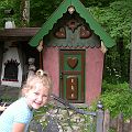 20070611_103155_DSCN6104