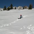 20080212_153400_DSCN2181