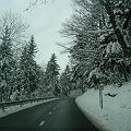 20090131_131336_DSCN3107