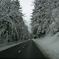 20090131_131556_DSCN3112