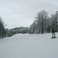 20090203_125838_DSCN3217
