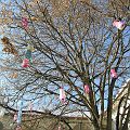 20090204_140614_DSCN3297