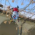 20090204_140644_DSCN3299