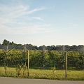 20100713_192510_DSC_3403