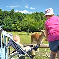20100714_162521_DSC_3835