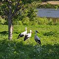 20100714_164056_DSC_3971