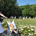 20100714_165047_DSC_4061