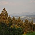 20100716_200308_DSC_5986