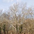 20110315_140500_DSC_5693