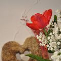 20110424_104903_DSC_7014