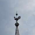 20110430_162855_DSC_7275