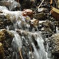 20110501_100407_DSC_7405