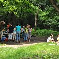 20110605_115429_DSC_8398