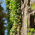 20110612_135043_DSC_9229