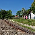 20110613_100212_DSC_9259