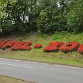 20110726_101257_DSC_1570