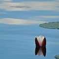 20110728_185816_DSC_2608