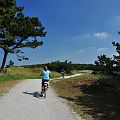 20110801_114057_DSC_3636