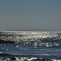 20110801_182755_DSC_3922