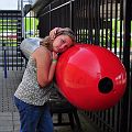 20110802_122059_DSC_4158