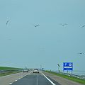 20110802_175718_DSC_4347